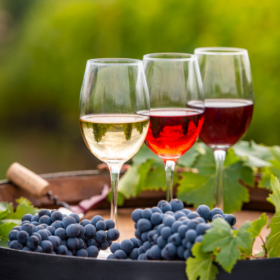 Bordeaux wines