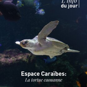 Image credit la rochelle aquarium facebook